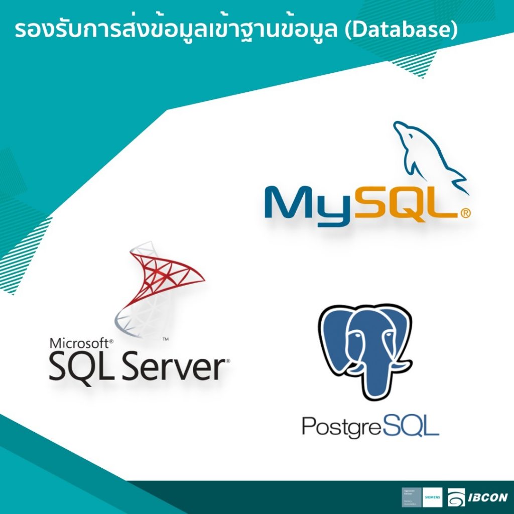 MySQL, SQL Server, PostgreSQL
